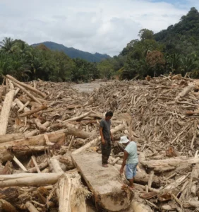 Potongan kayu yang terbawa arus banjir. Gambar:Voice Sulsel