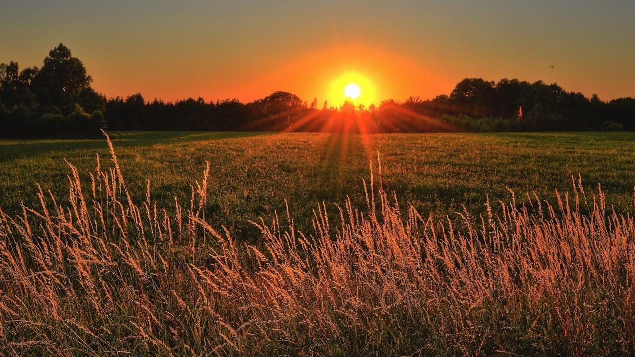 Matahari pagi. Gambar: liputan6