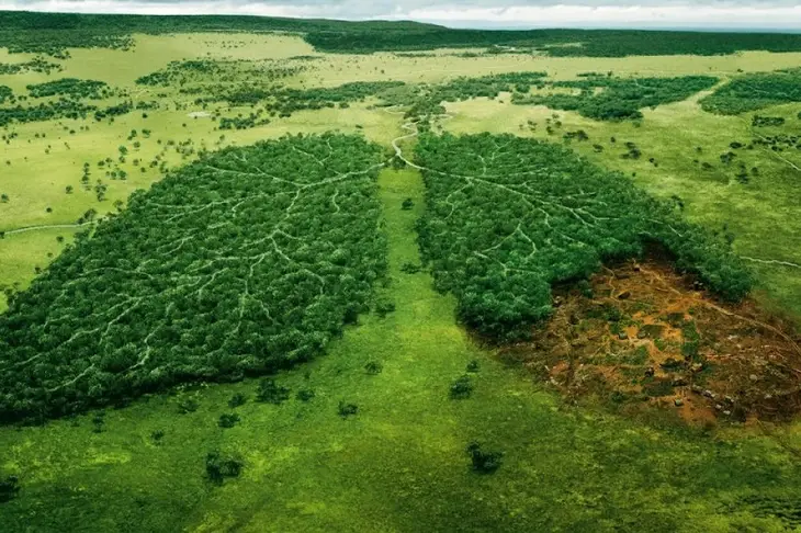 Hutan digambarkan sebagai paru-paru bumi, menegaskan peran vitalnya dalam menjaga iklim dan kehidupan manusia. Gambar: GoodNews